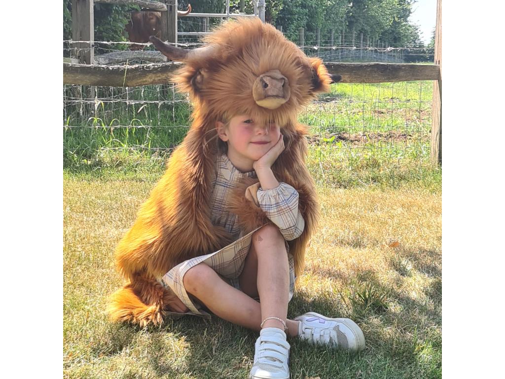 Brown Home Furniture - dlz1766571328525