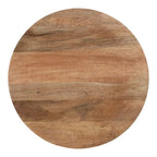 Round Side Table - 2-Tier - Mango Wood - Stainless Steel Legs - 19"W x 19"D x 24.5"H - Modern Boho